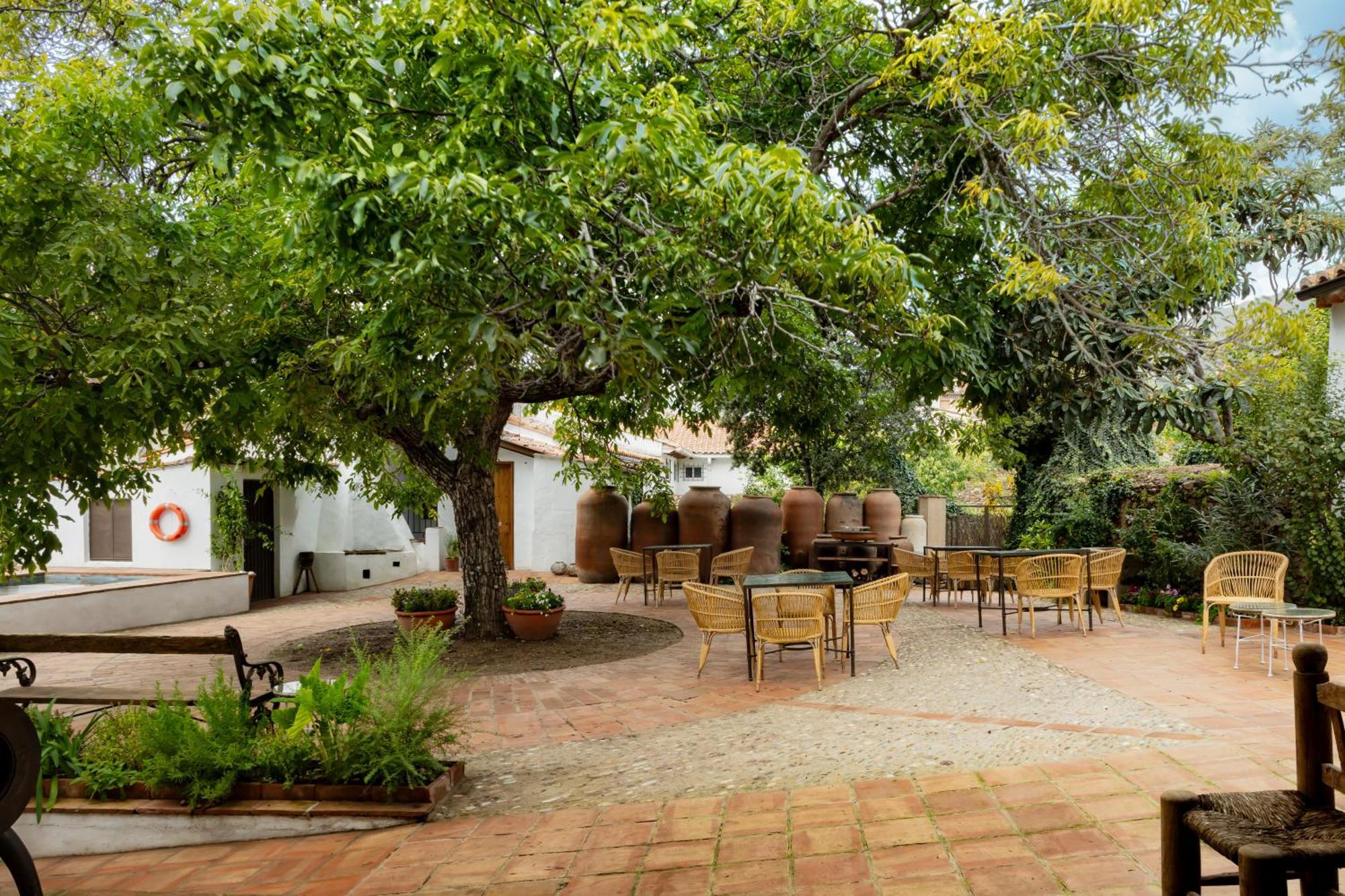 Apartamentos Turisticos El Patio Del Nogal Гвадалупе Екстер'єр фото