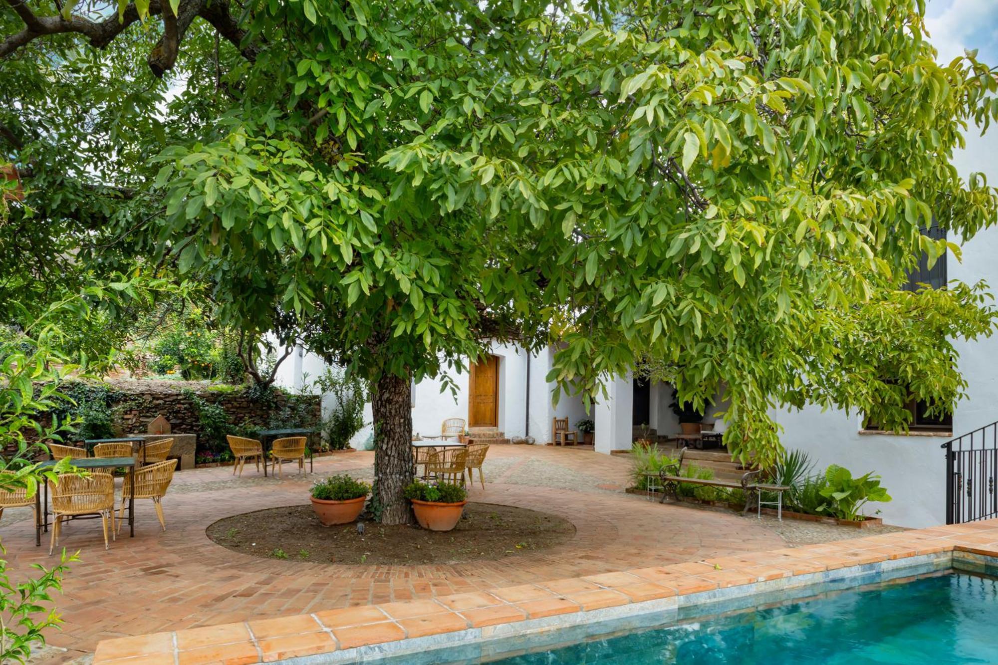 Apartamentos Turisticos El Patio Del Nogal Гвадалупе Екстер'єр фото